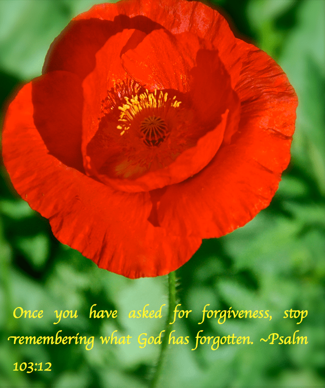 Screen Shot 2017-03-31 at 10.40.17 PM.png