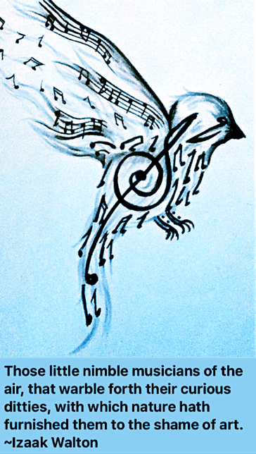 Screen Shot 2017-03-31 at 11.05.32 PM.png