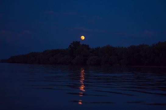 17759991_1389431911132149_6492916798438739835_n