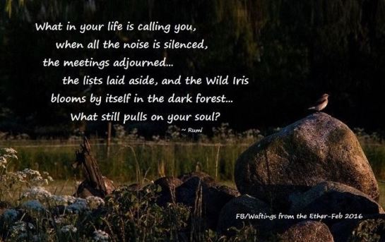 18033165_766738196824853_2685181665587318669_n