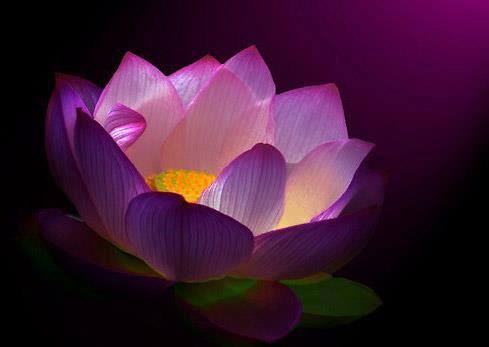 18119374_1303504309733360_895313004550600118_n