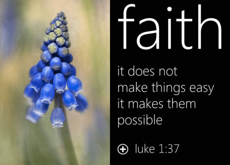 Screen Shot 2017-04-01 at 10.58.23 PM.png