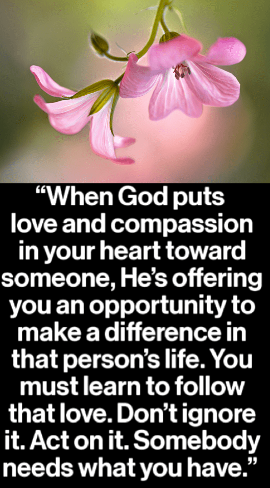 Screen Shot 2017-04-01 at 10.59.41 PM.png