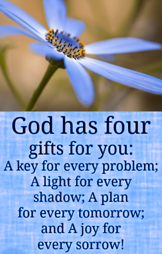 Screen Shot 2017-04-01 at 11.01.21 PM.png