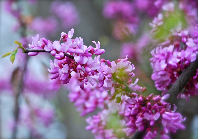 Screen Shot 2017-04-01 at 5.39.23 PM.png