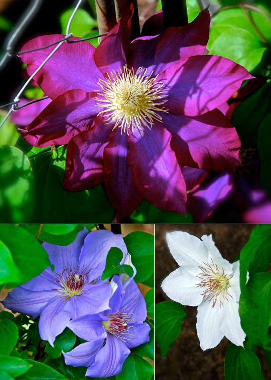 Screen Shot 2017-04-01 at 6.46.49 PM.png