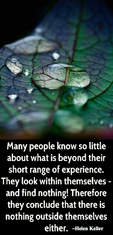 Screen Shot 2017-04-03 at 10.04.58 PM.png