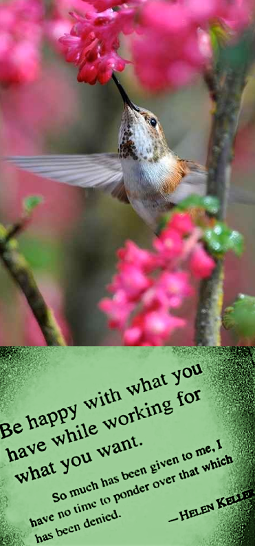 Screen Shot 2017-04-03 at 10.10.29 PM.png