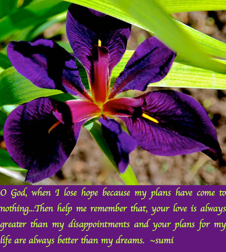 Screen Shot 2017-04-03 at 5.06.57 PM.png