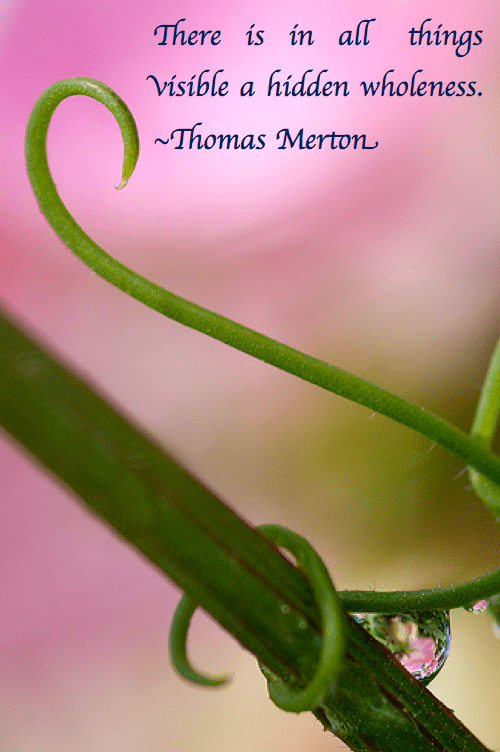 Screen Shot 2017-04-05 at 10.32.20 PM.png