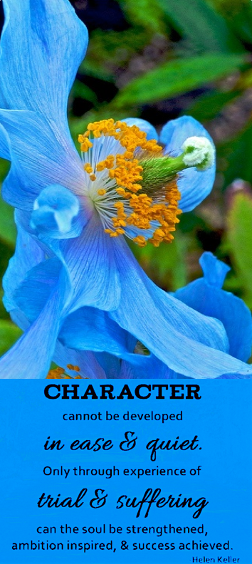 Screen Shot 2017-04-05 at 10.36.14 PM.png