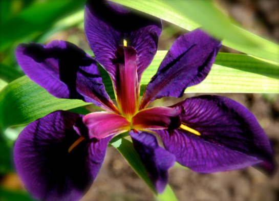 Screen Shot 2017-04-05 at 9.41.23 PM.png