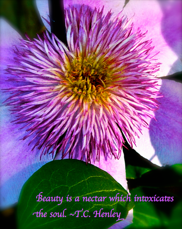 Screen Shot 2017-04-06 at 9.54.15 PM.png