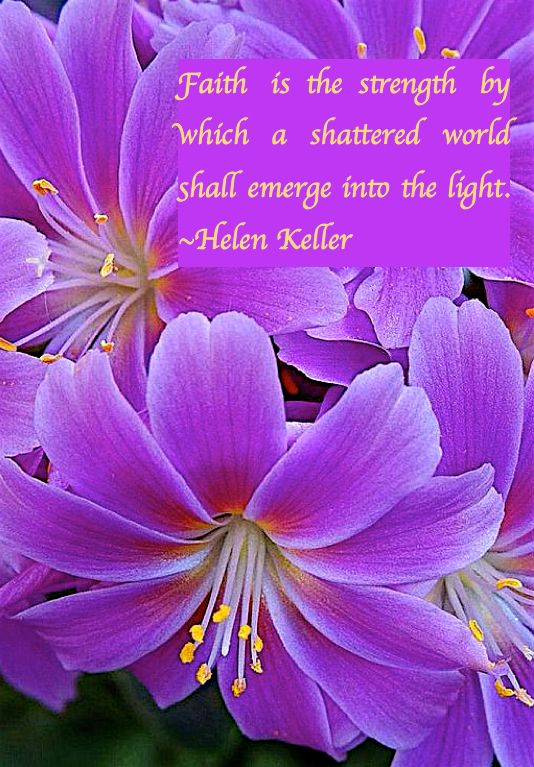 Screen Shot 2017-04-07 at 10.48.06 PM.png