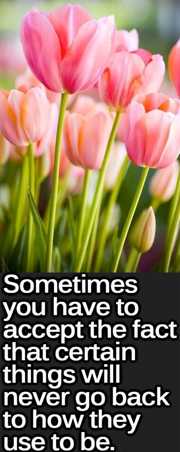 Screen Shot 2017-04-07 at 10.52.28 PM.png