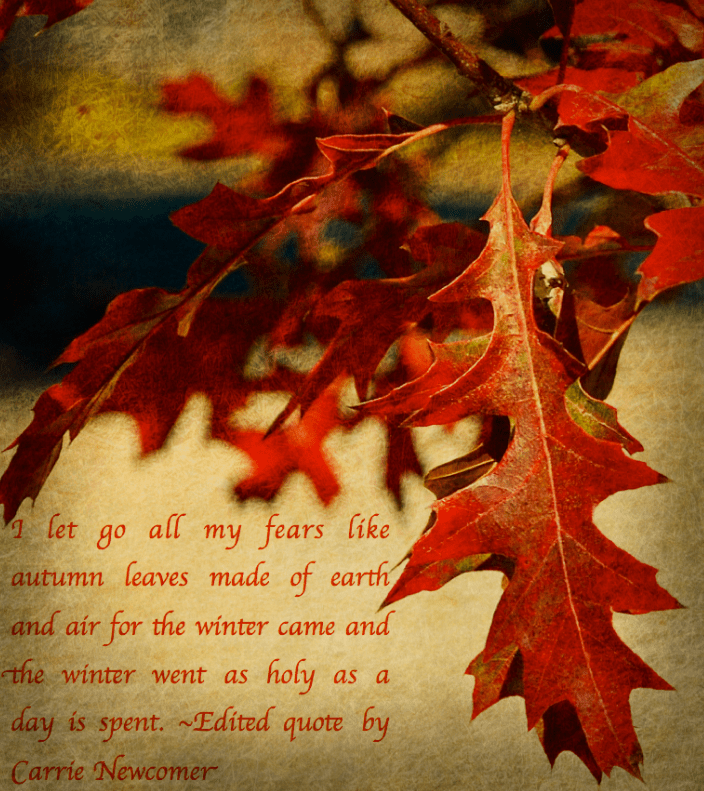 Screen Shot 2017-04-08 at 10.13.06 PM.png