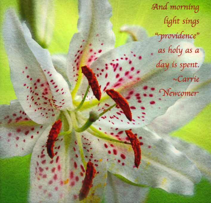 Screen Shot 2017-04-08 at 9.56.52 PM.png