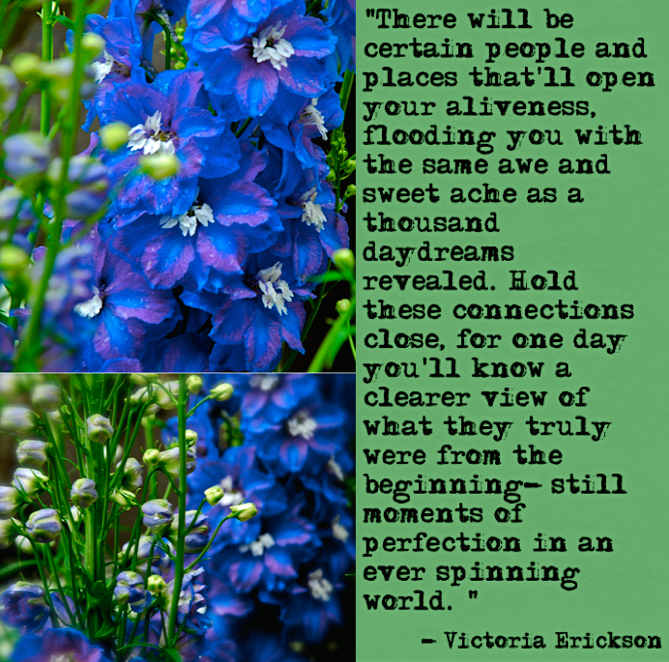 Screen Shot 2017-04-10 at 9.26.42 PM.png