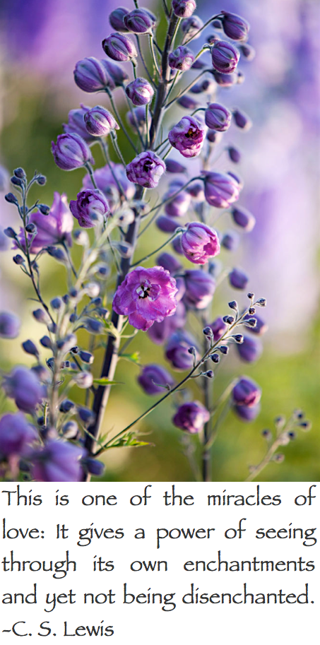 Screen Shot 2017-04-11 at 10.48.50 PM.png