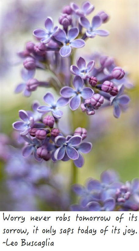 Screen Shot 2017-04-11 at 10.53.10 PM.png