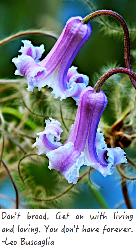 Screen Shot 2017-04-11 at 10.55.25 PM.png