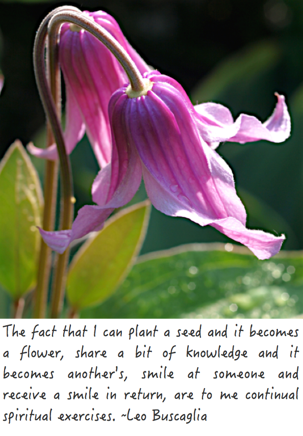 Screen Shot 2017-04-11 at 10.58.37 PM.png