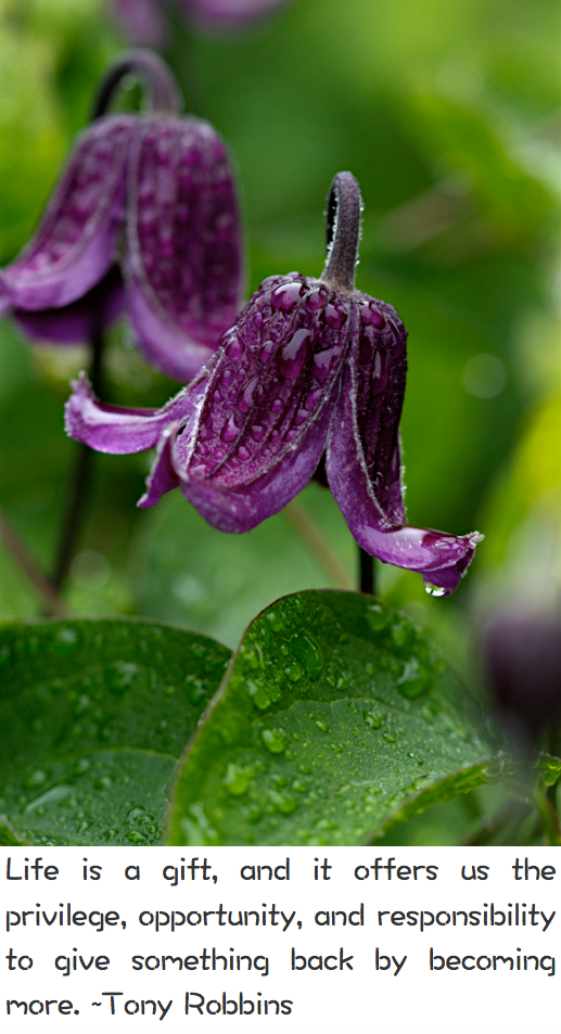 Screen Shot 2017-04-11 at 11.03.18 PM.png