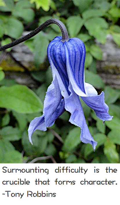 Screen Shot 2017-04-11 at 11.05.44 PM.png