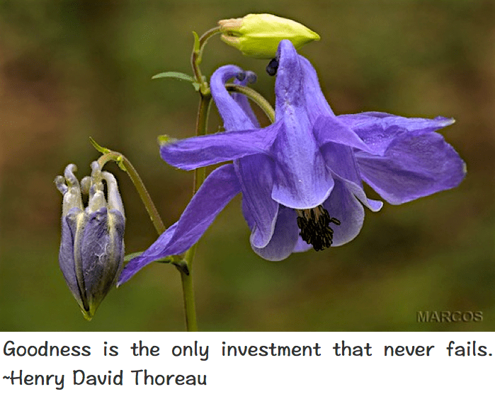 Screen Shot 2017-04-11 at 11.07.50 PM.png