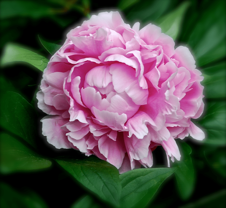 Screen Shot 2017-04-12 at 10.00.32 PM.png