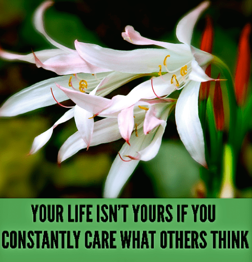 Screen Shot 2017-04-12 at 10.41.24 PM.png