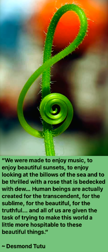 Screen Shot 2017-04-12 at 10.45.36 PM.png