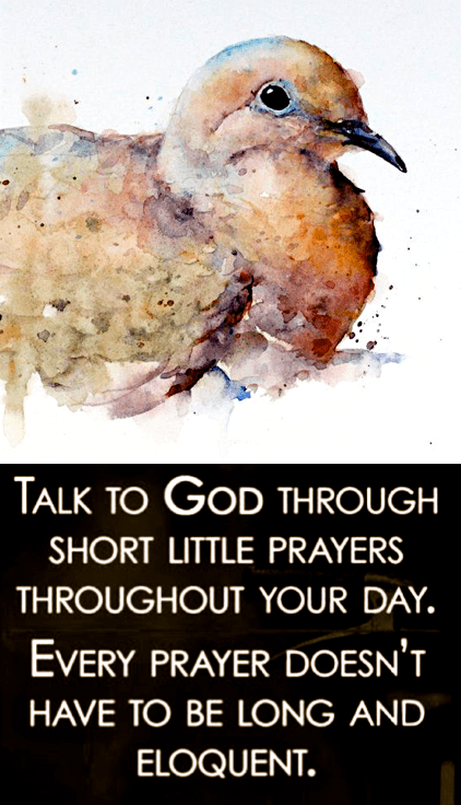 Screen Shot 2017-04-12 at 10.48.19 PM.png