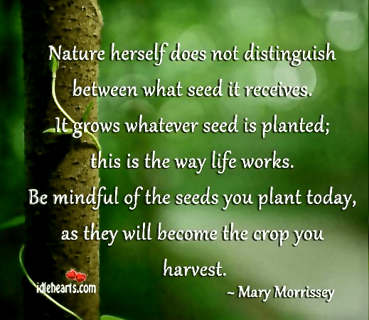 Screen Shot 2017-04-12 at 9.33.11 PM.png