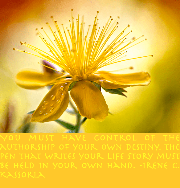 Screen Shot 2017-04-16 at 10.00.41 PM.png