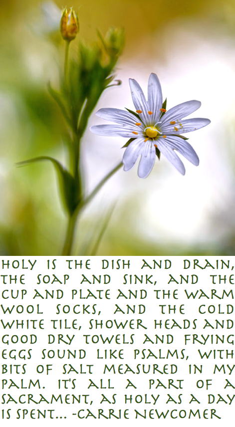 Screen Shot 2017-04-17 at 7.11.59 PM.png