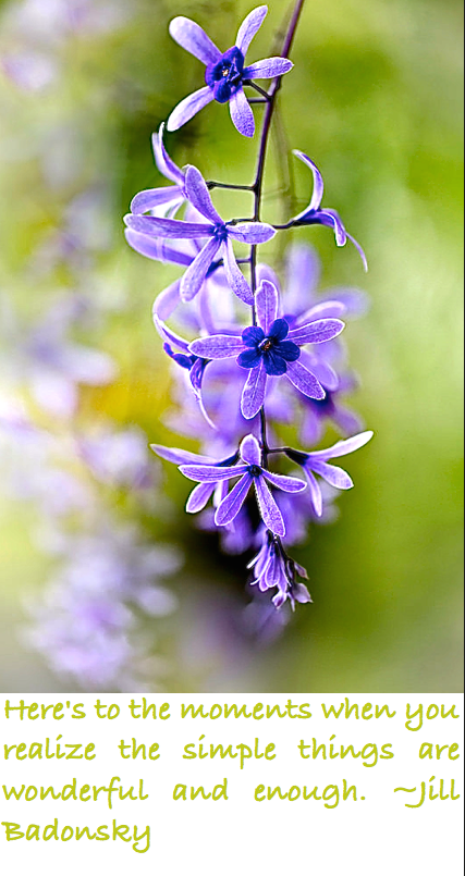 Screen Shot 2017-04-17 at 7.13.15 PM.png