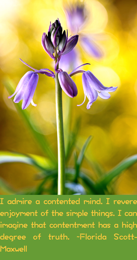 Screen Shot 2017-04-17 at 7.14.37 PM.png