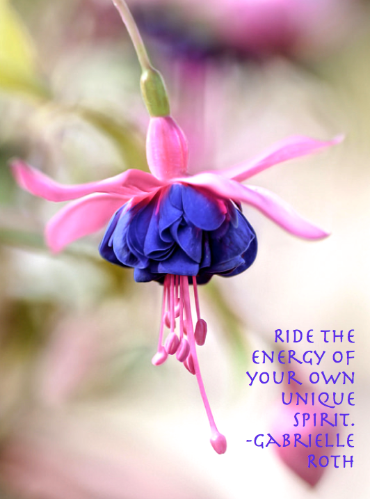 Screen Shot 2017-04-17 at 8.04.15 AM.png