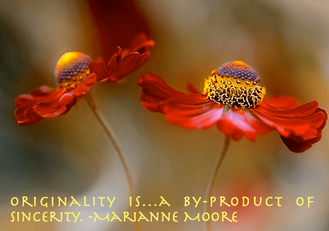 Screen Shot 2017-04-17 at 8.04.27 AM.png