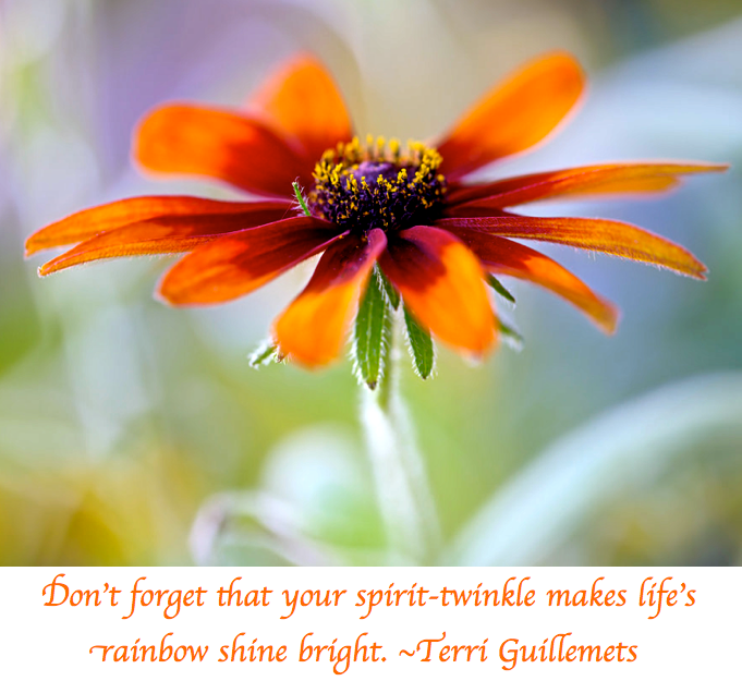 Screen Shot 2017-04-17 at 8.04.43 AM.png