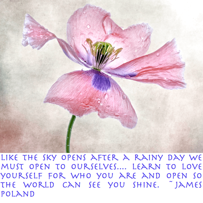 Screen Shot 2017-04-17 at 8.09.40 AM.png