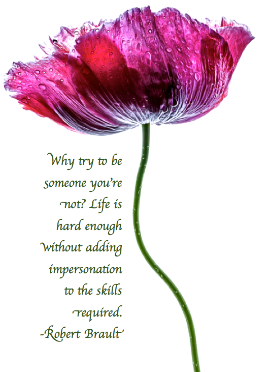 Screen Shot 2017-04-17 at 8.09.59 AM.png