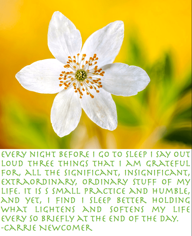 Screen Shot 2017-04-17 at 8.10.15 AM.png