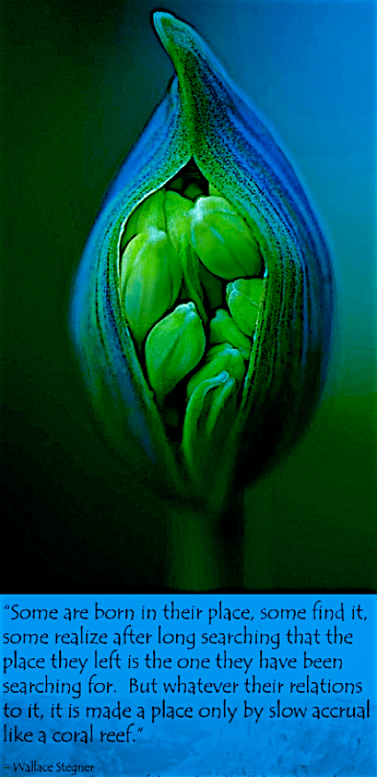 Screen Shot 2017-04-19 at 11.09.14 PM.png