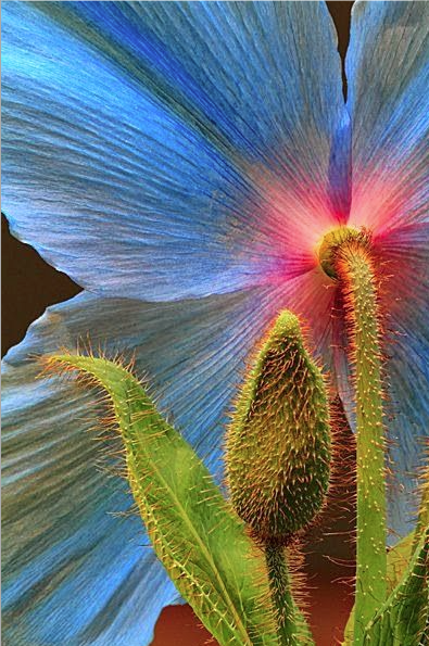 Screen Shot 2017-04-20 at 10.36.28 PM.png