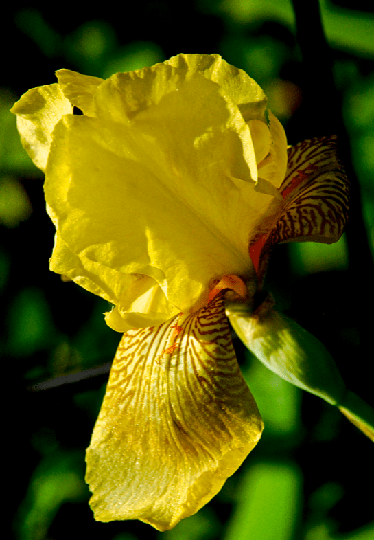 Screen Shot 2017-04-21 at 10.15.16 PM.png