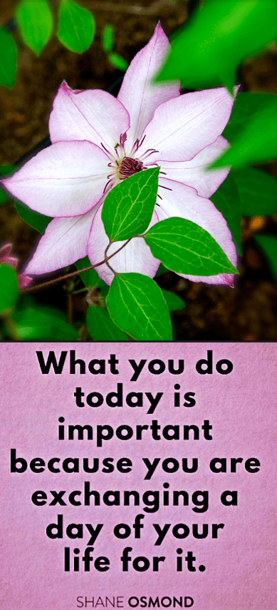 Screen Shot 2017-04-21 at 10.34.01 PM.png