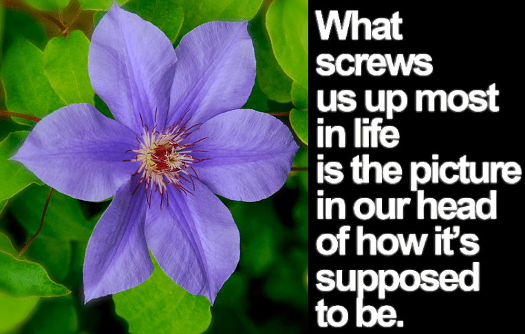 Screen Shot 2017-04-21 at 10.37.23 PM.png