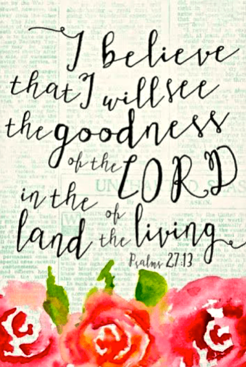 Screen Shot 2017-04-22 at 11.02.47 PM.png